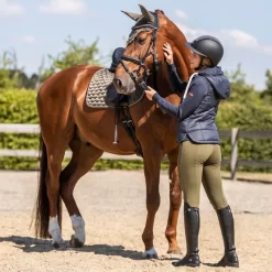 Horze Women's Active Full Seat Breeches - Dark Olive -Equestrian Clothing Store 600811 800 800